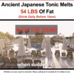 Okinawa flat belly tonic before and after